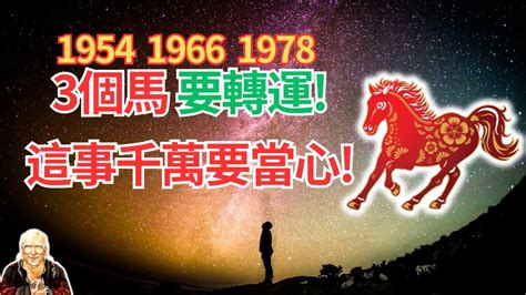 1978年屬馬運勢|屬馬人必看：1978命格